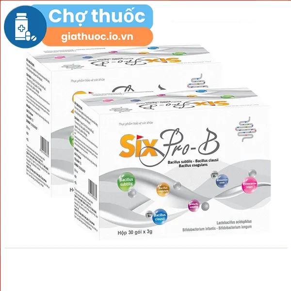 Six Pro-B